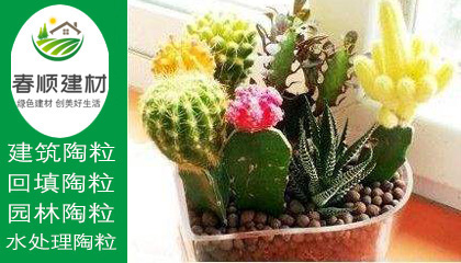 江西陶粒廠，陶粒生產(chǎn)廠家，陶粒批發(fā)，回填陶粒，景觀陶粒