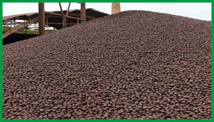 陶?；靥?建筑陶粒 供應(yīng)保溫1-3公分衛(wèi)生間陶粒，回填陶粒